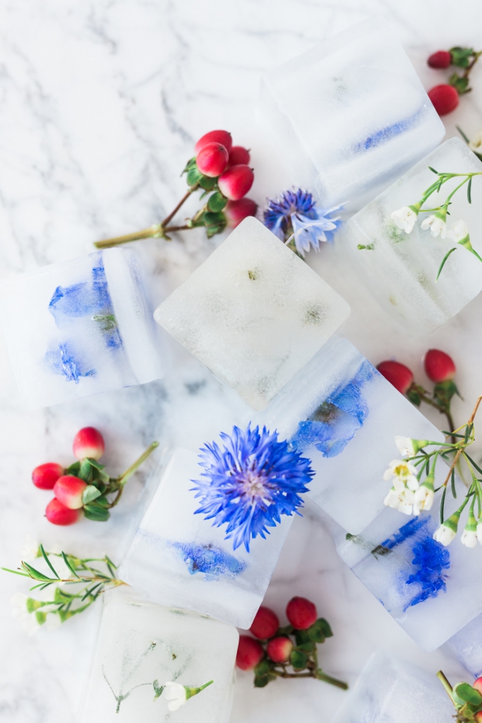 Diy Floral Ice Cubes For The Fourth The House That Lars Built