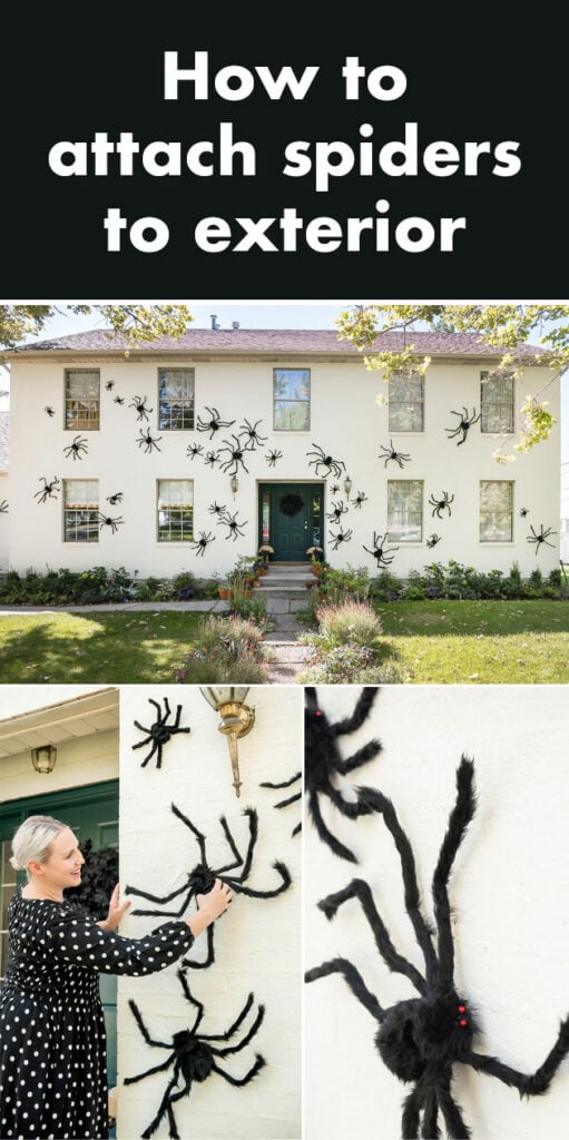 Halloween Decoration Spiders The House That Lars Built