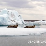 GLACIER-LAGOON-ICELAND-