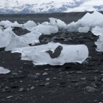 iceland-glacial-lagoon-29