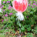 lollipop-balloons5