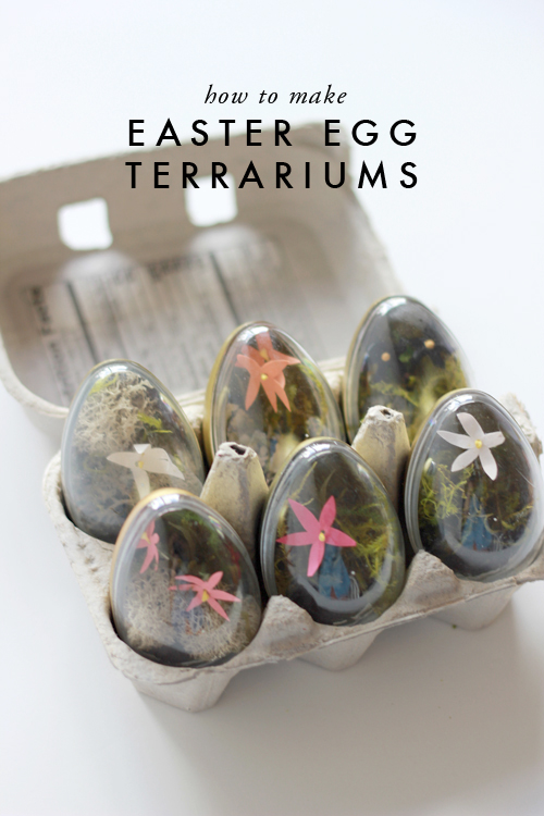 How to Make DIY Easter Egg Terrariums