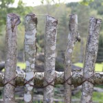 fence-made-of-branches