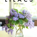lilacs-three-ways