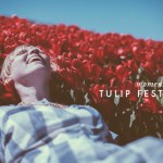 moment-for-me-haagen-dazs-tulip-festival