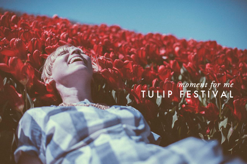 Moment for me: Tulip Festival