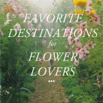 TOP-DESTINATION-FOR-FLOWER-LOVERS