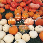 QUOTE-ABOUT-AUTUMN