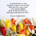 QUOTE-ABOUT-DAFFODILS-BY-WILLIAM-WORDSWORTH