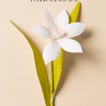 how-to-make-a-paper-flower-narcissus