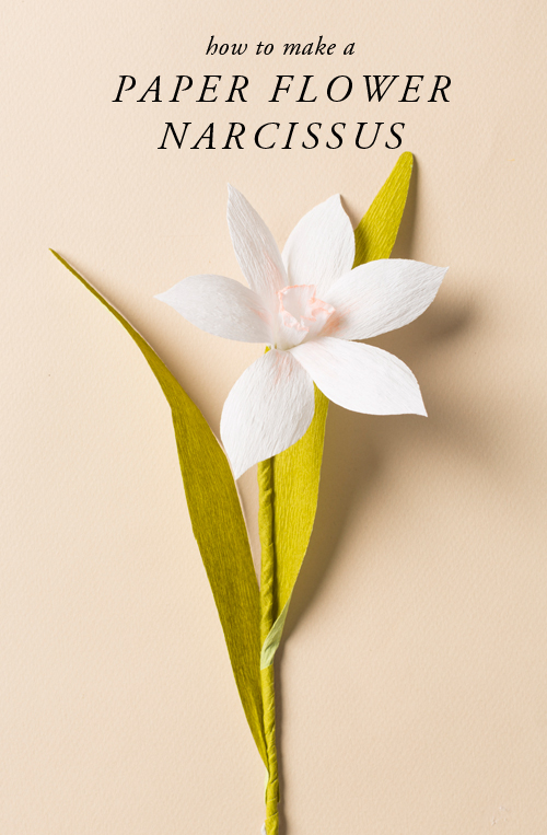 learn to make a paper flower narcissus