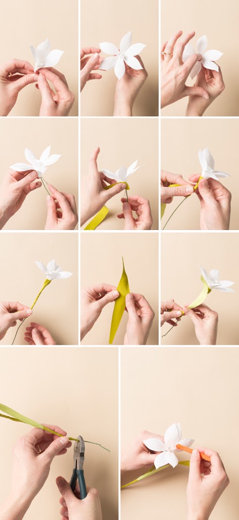 paper flower narcissus