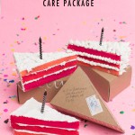 MAKE-A-BIRTHDAY-CAKE-CARE-PACKAGE