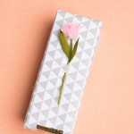 VASE-WRAPPING-FOR-SPRING