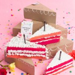 care-package-birthday-ombre-cake