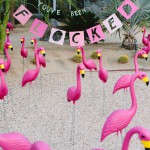 flock-of-flamingos