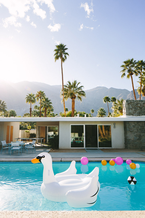 Palm Springs pool with palm trees