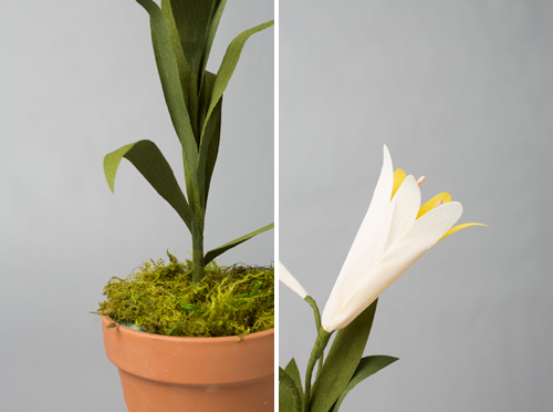 Paper Easter lily tutorial