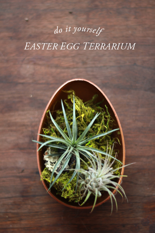 Easter egg terrarium
