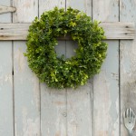 MAKE-A-BOXWOOD-WREATH-FROM-THE-REMAINS-OF-A-TOPIARY