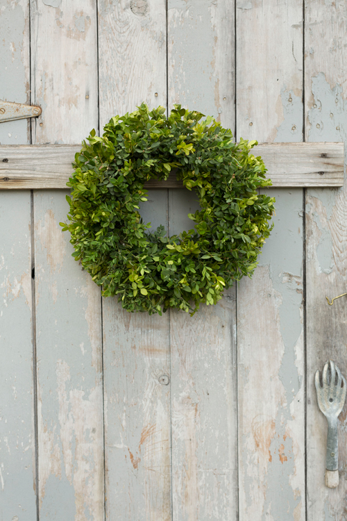 Boxwood wreath tutorial