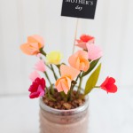 edible-flower-pot