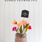 edible-flower-pot-for-mother-s-day
