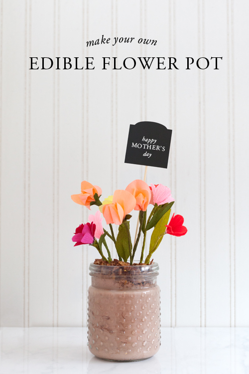 No sugar edible flower pot gift idea