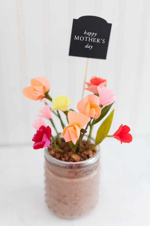 Edible flower pot gift idea