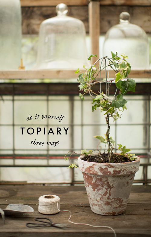 3 ways to make a topiary