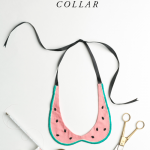 how-to-make-a-watermelon-collar