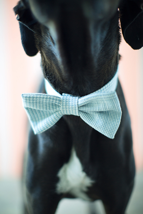 doggy bow tie - handmade christmas gift ideas