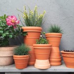 Make a container garden