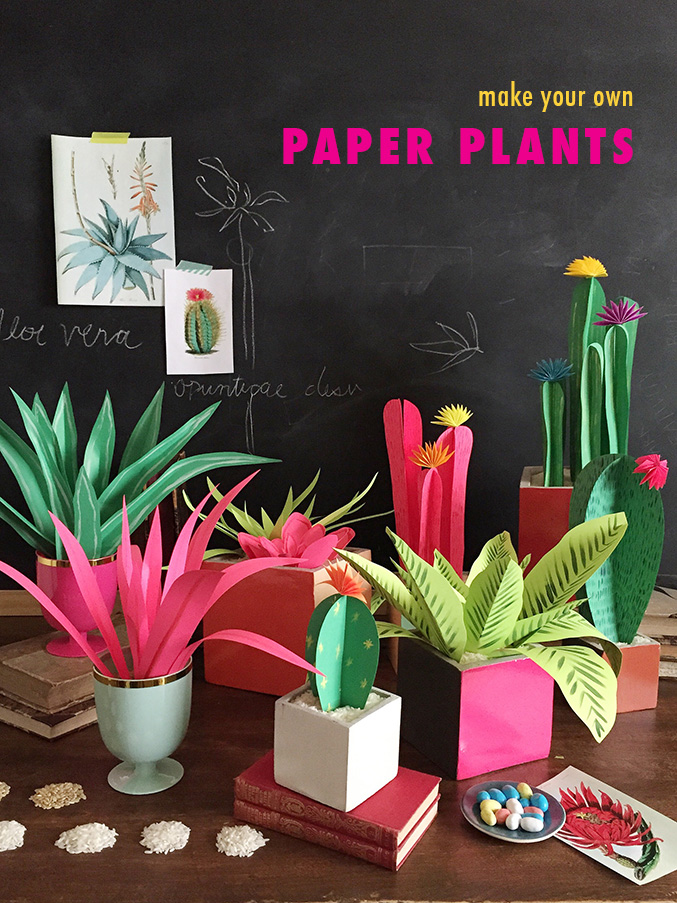 paper plants