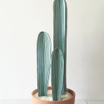 cactus made from cactus