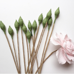 Rose de Granville paper flower workshop