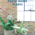 paper-potted-plants