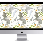 BIRD-desktop-wallpaper1