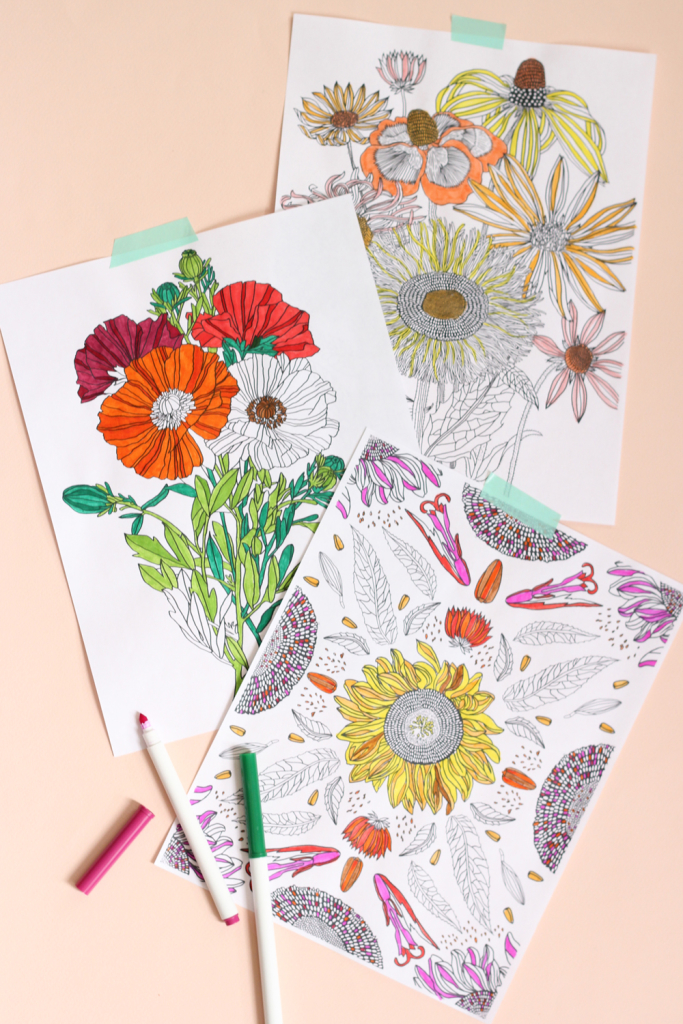 Flowers Coloring Book - The House That Lars Built
