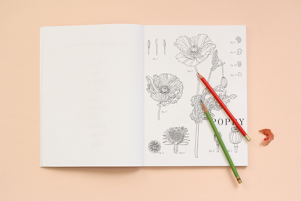 Flowers Coloring Book by The House That Lars Built 