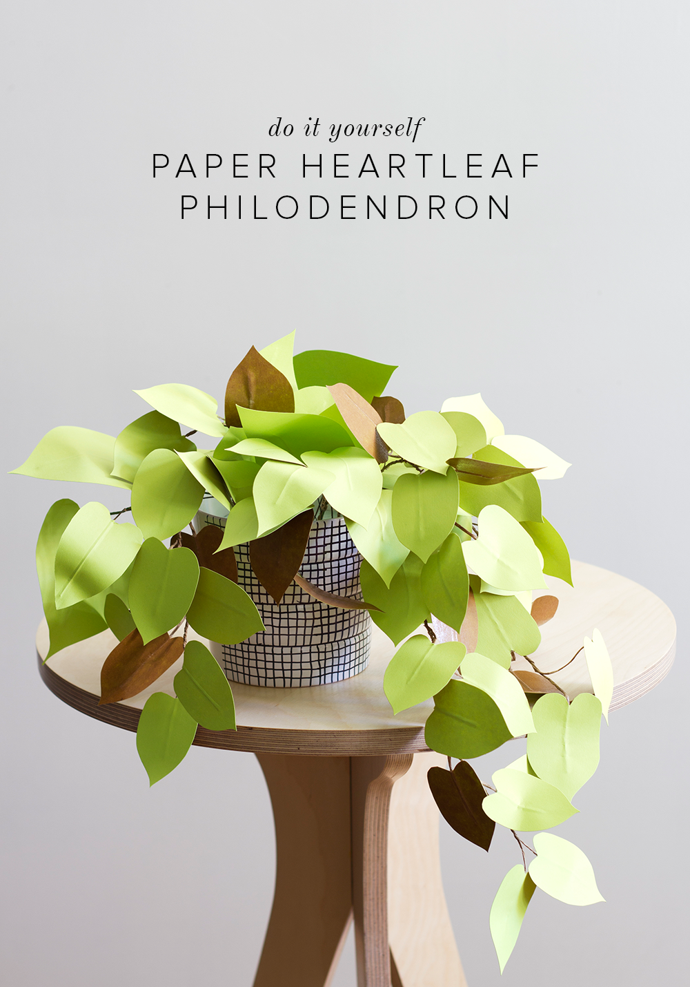 paper plants diy