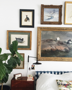 a gallery wall with images of birds over a bed with a fiddle leaf fig and a lamp in the bottom left corner