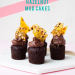 Chocolate hazelnut mudcakes
