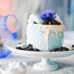 blue-cake-bridal-shower-bhldn-and-lars-9290
