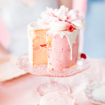 pink-bridal-shower-cake-bhldn-and-lars-833