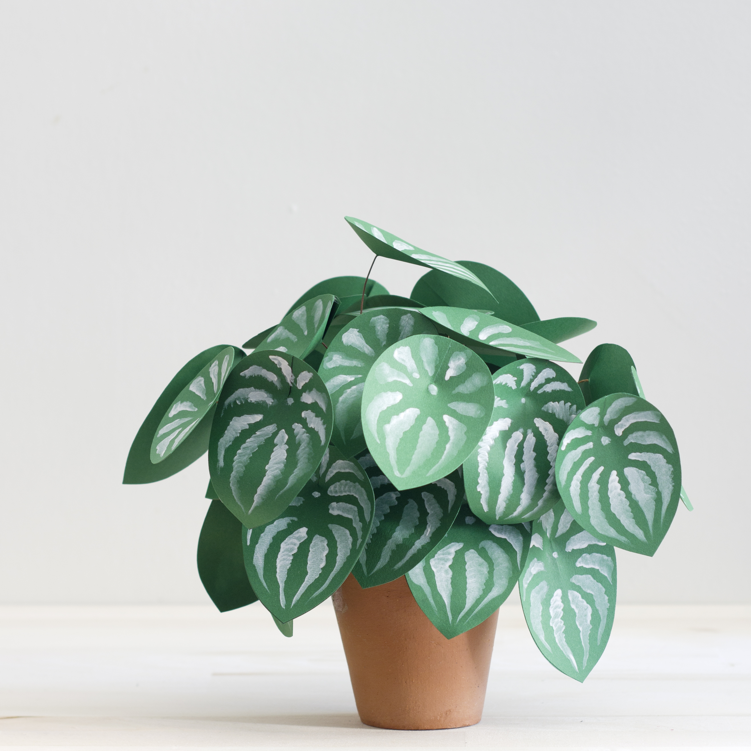 DIY paper plant by Corrie Beth Hogg