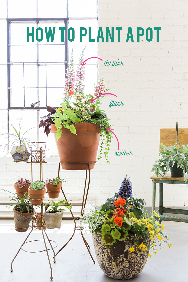 How to plant a container garden