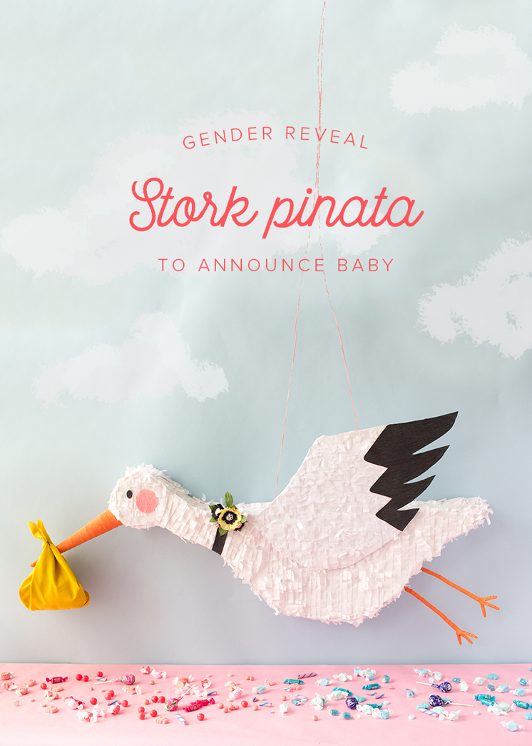 Stork pinata gender reveal