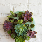 succulent-planter-for-wall-6