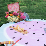 watermelon-picnic-blanket-23